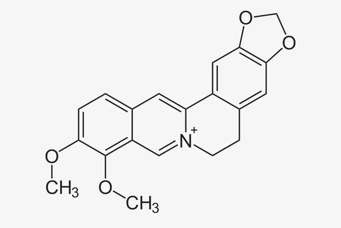 The Key Benefits of Taking Berberine Regularly