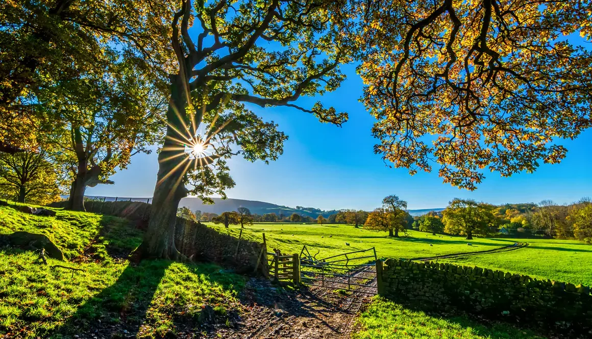 One Year On – Farming Fit Delivers Hundreds of Health Checks
