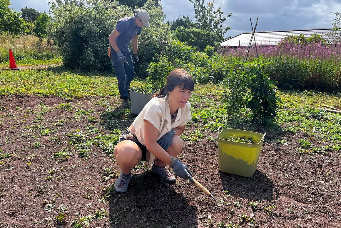Powys Teaching Health Board and Flora Cultura Working Together