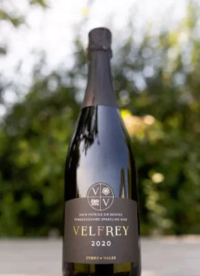 Velfrey Vineyard