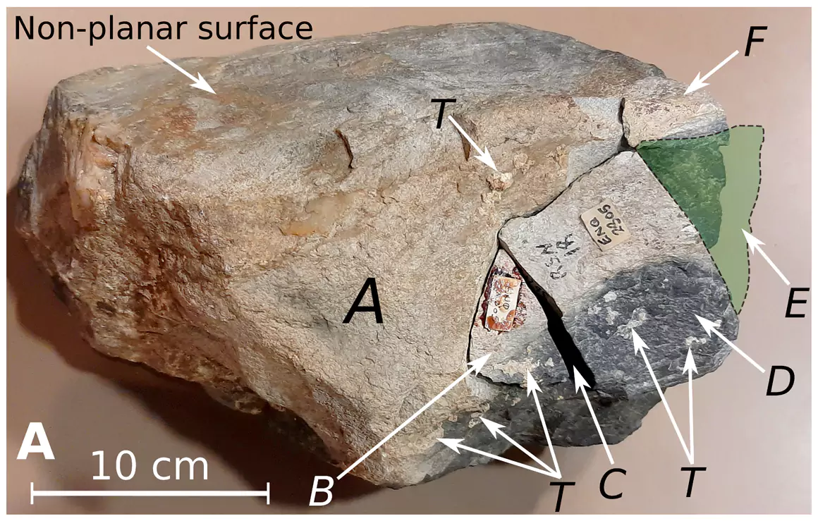 Humans Moved Bluestones from Wales to Stonehenge