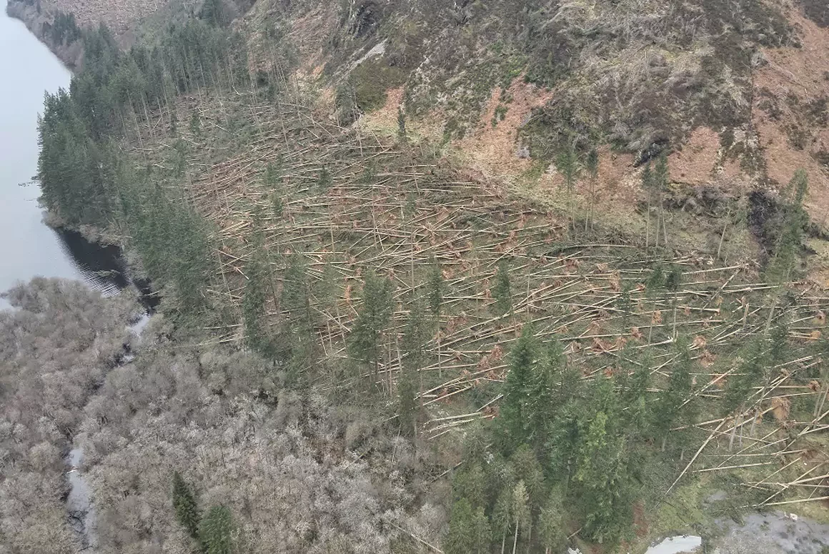 Clean-up Efforts Continue at Lake Vyrnwy