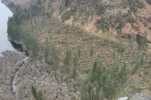 Clean-up Efforts Continue at Lake Vyrnwy