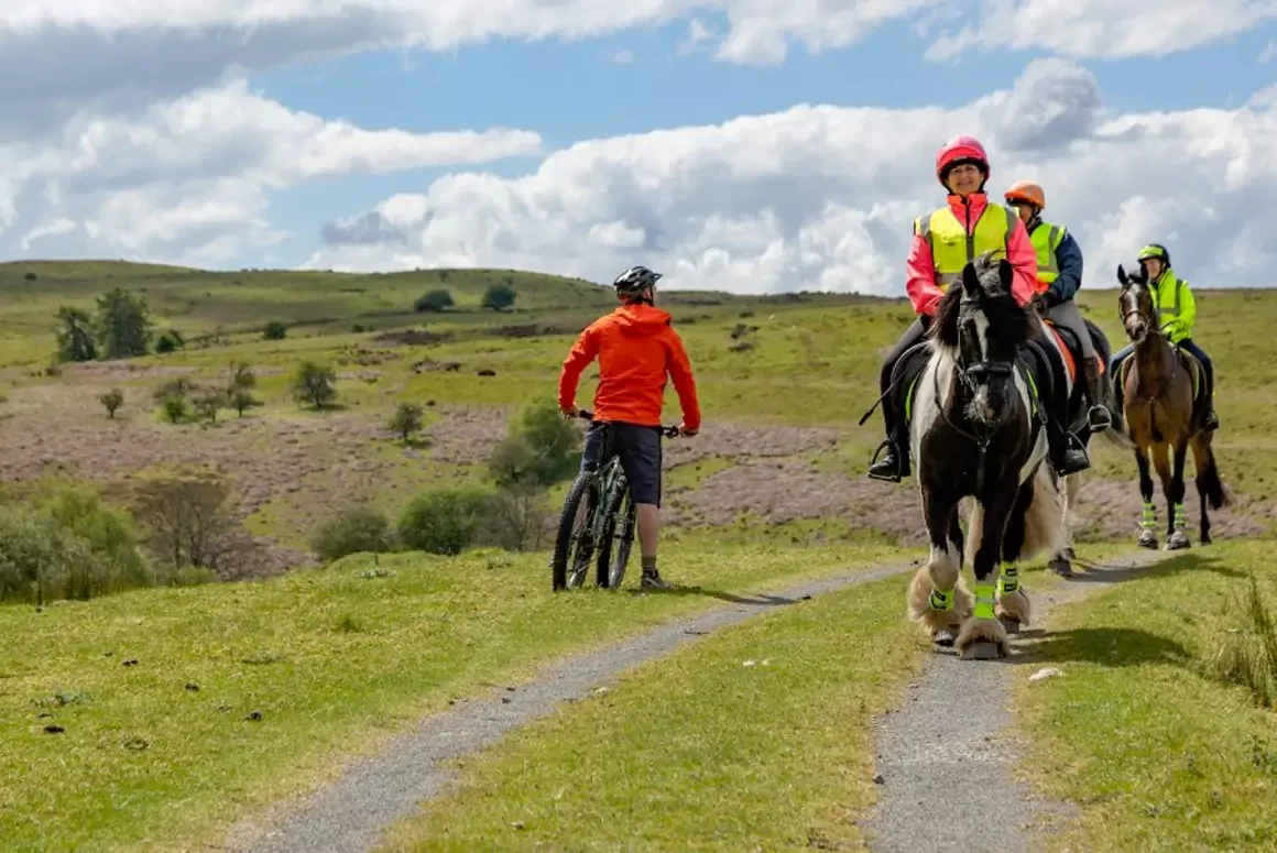 Senedd Saves Unrecorded Public Paths