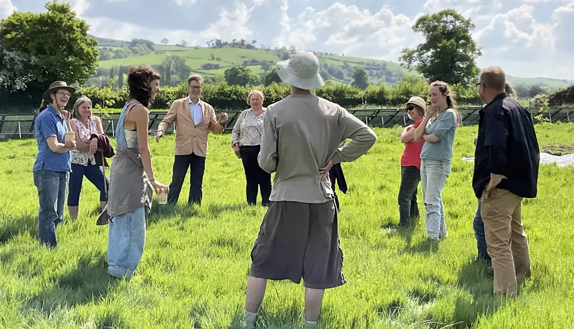 Work Starts on 36-acre Vegetable Growing Pilot