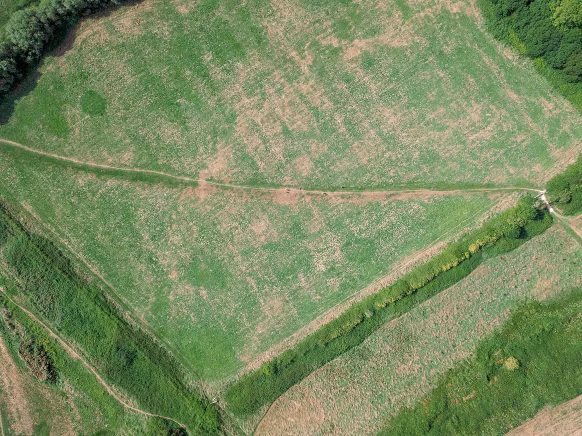 Sustainable Grazing Starts in the Sky: Using Satellite Data to Combat Land Degradation