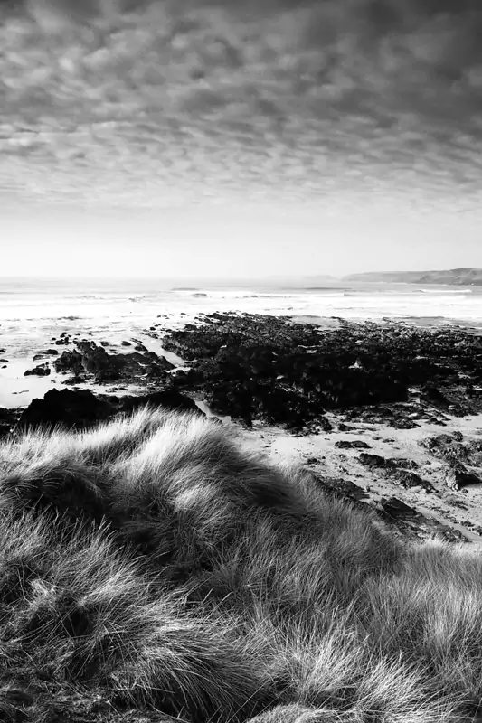 Patrick M Higgins Photography