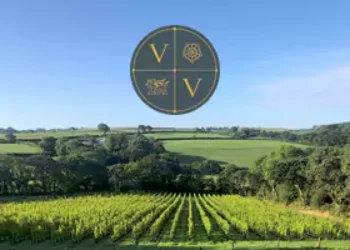 Velfrey Vineyard