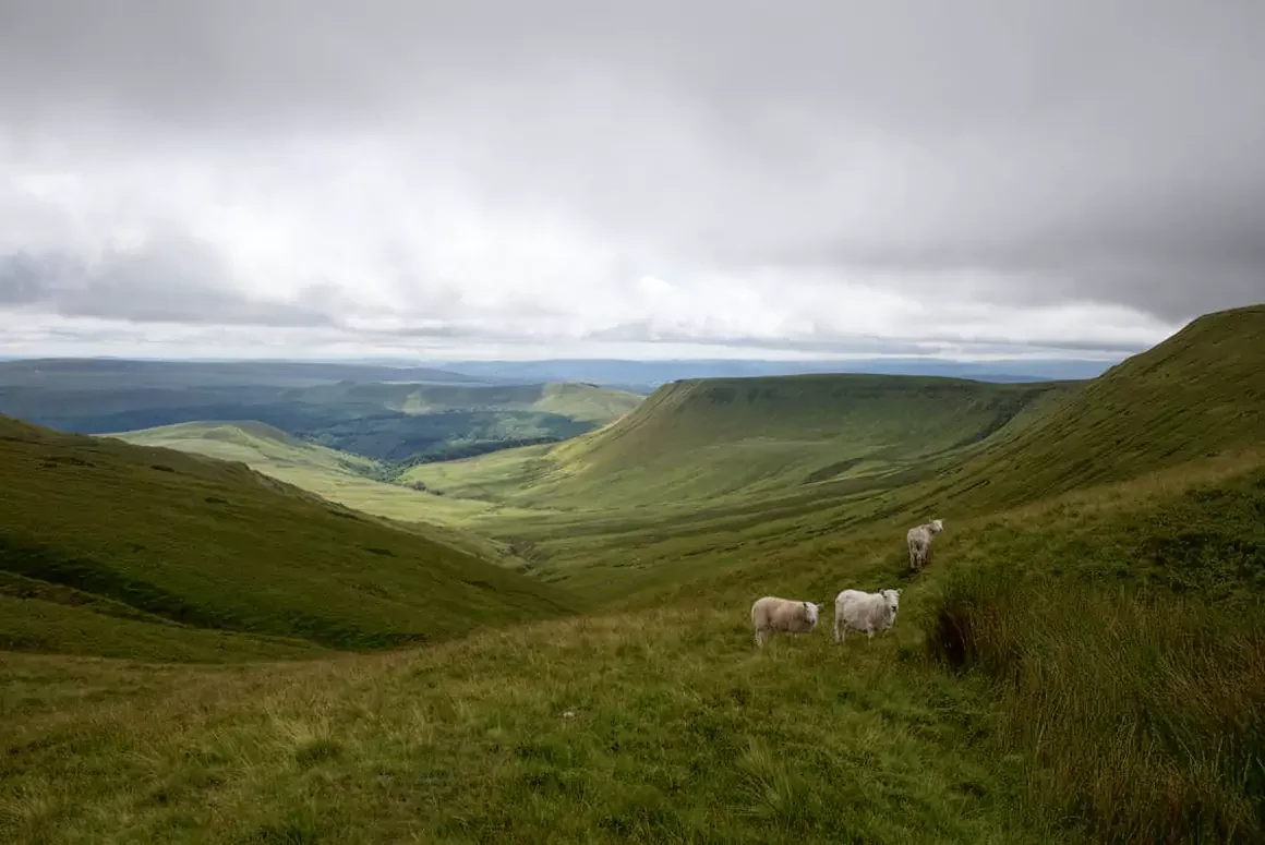 Exploring the Heart of the Welsh Countryside: Hidden Gems Await