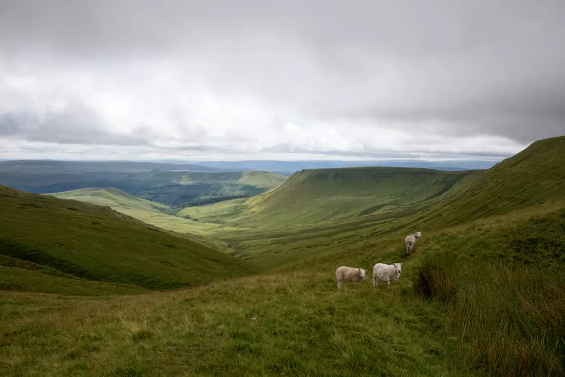 Exploring the Heart of the Welsh Countryside: Hidden Gems Await