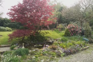 Guilsfield Gardens