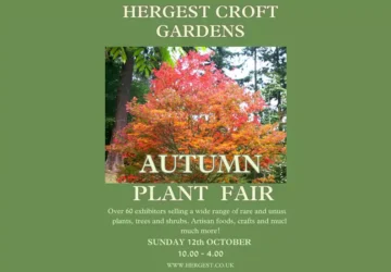 Hergest Croft Gardens Autumn Plant Fair