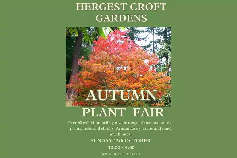 Hergest Croft Gardens Autumn Plant Fair