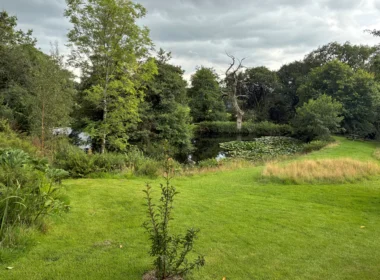 Coed Cae Farm