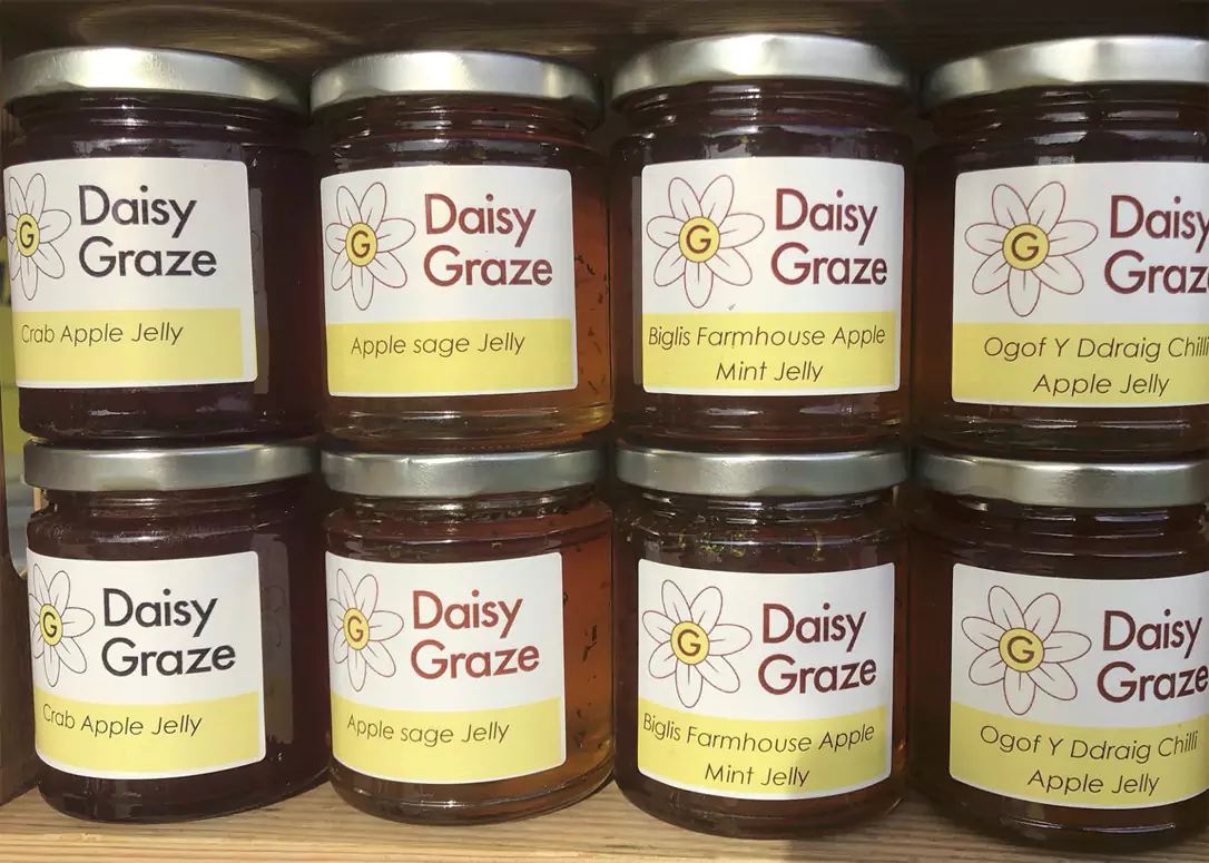 Daisy Graze