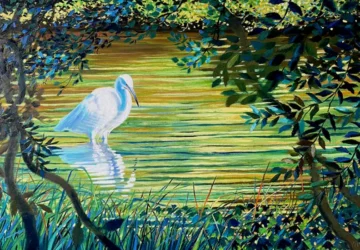 Members Autumn Exhibition
