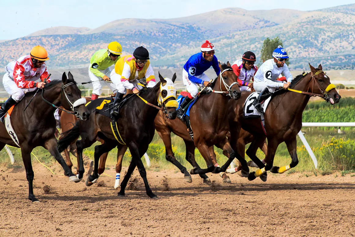 Next-Gen Bookies and the Welsh Punters Who Prefer Them