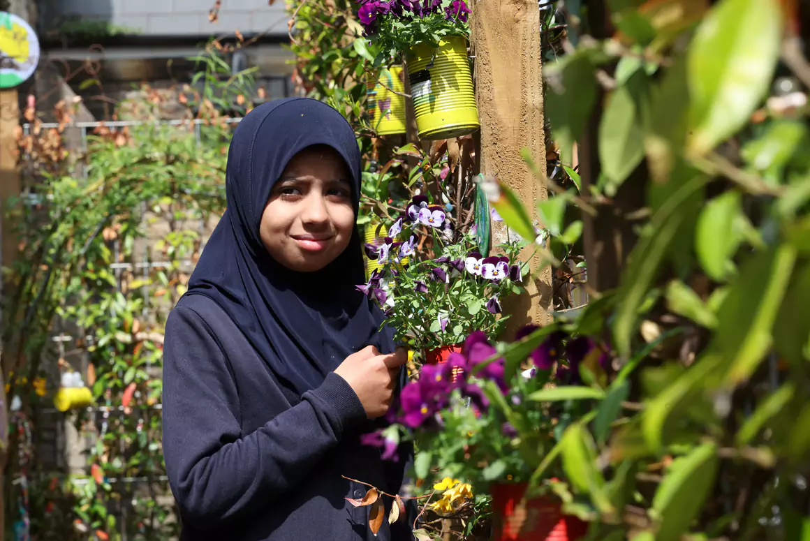 Bee-friendly Garden Launched at School
