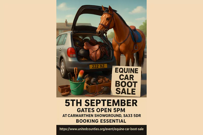 Equine Car Boot