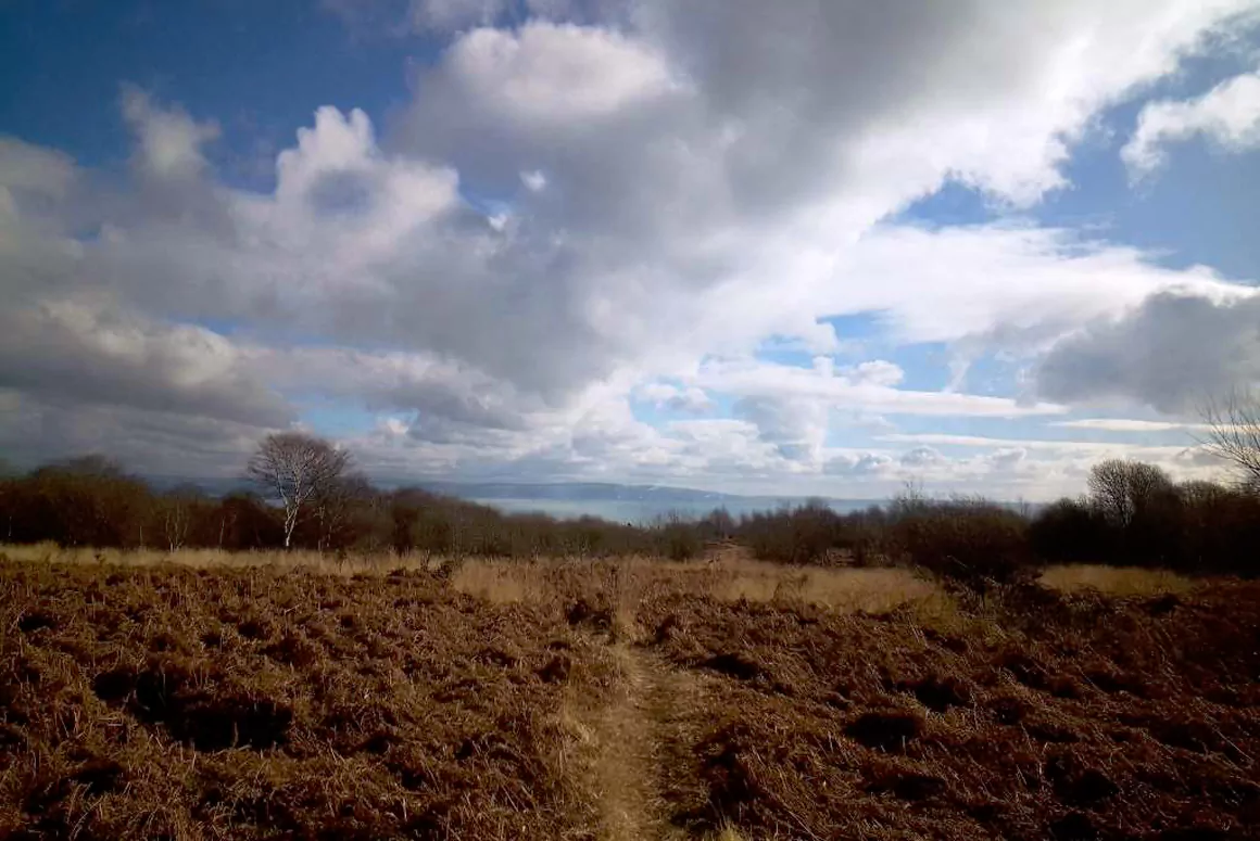 Clyne Common, Swansea, Saved From Housing Development