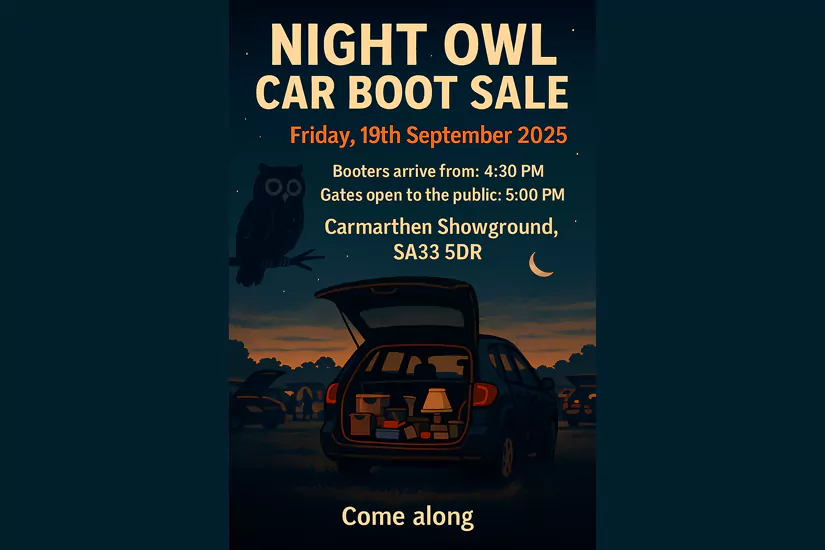 Night Owl Car Boot