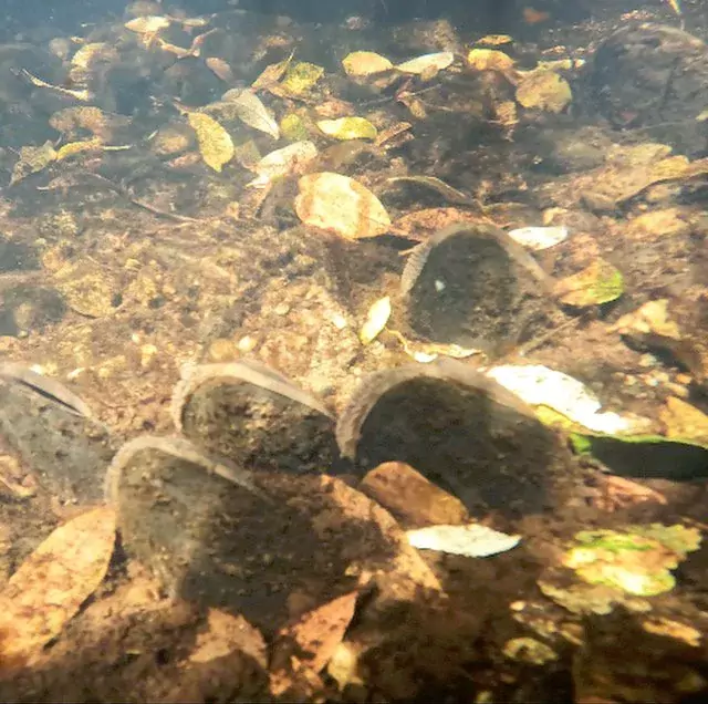 News from North Wales River Trusts