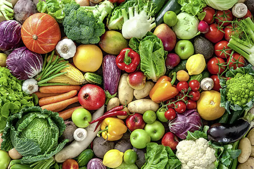 Pembrokeshire Social Enterprise Green, Food and Environment Network Event
