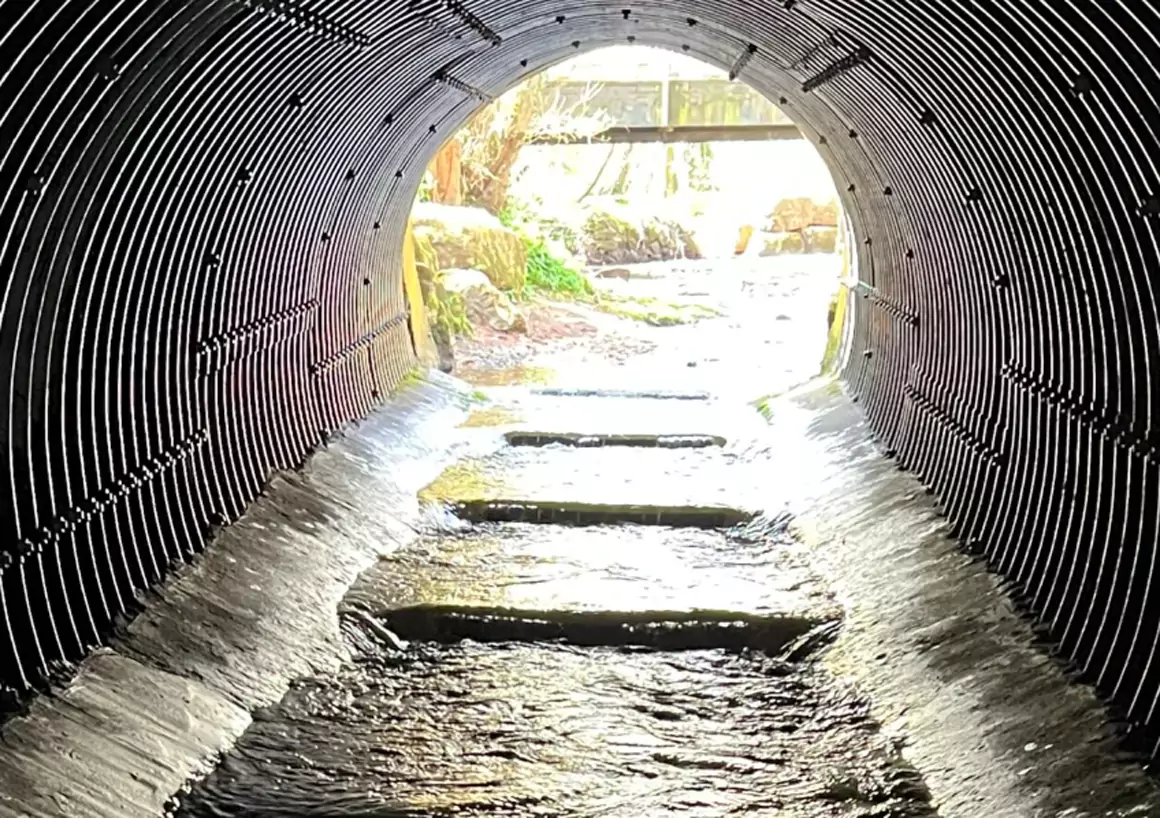 News from North Wales River Trusts