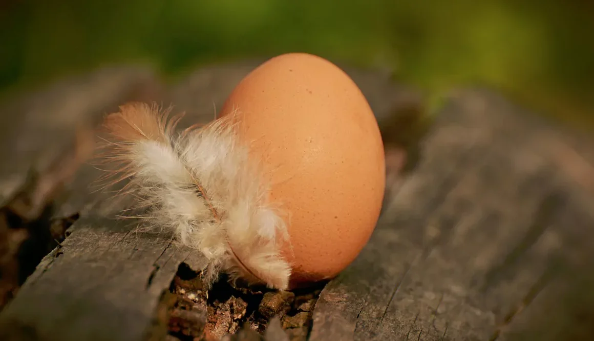 Tuesday’s Sayings and Musings