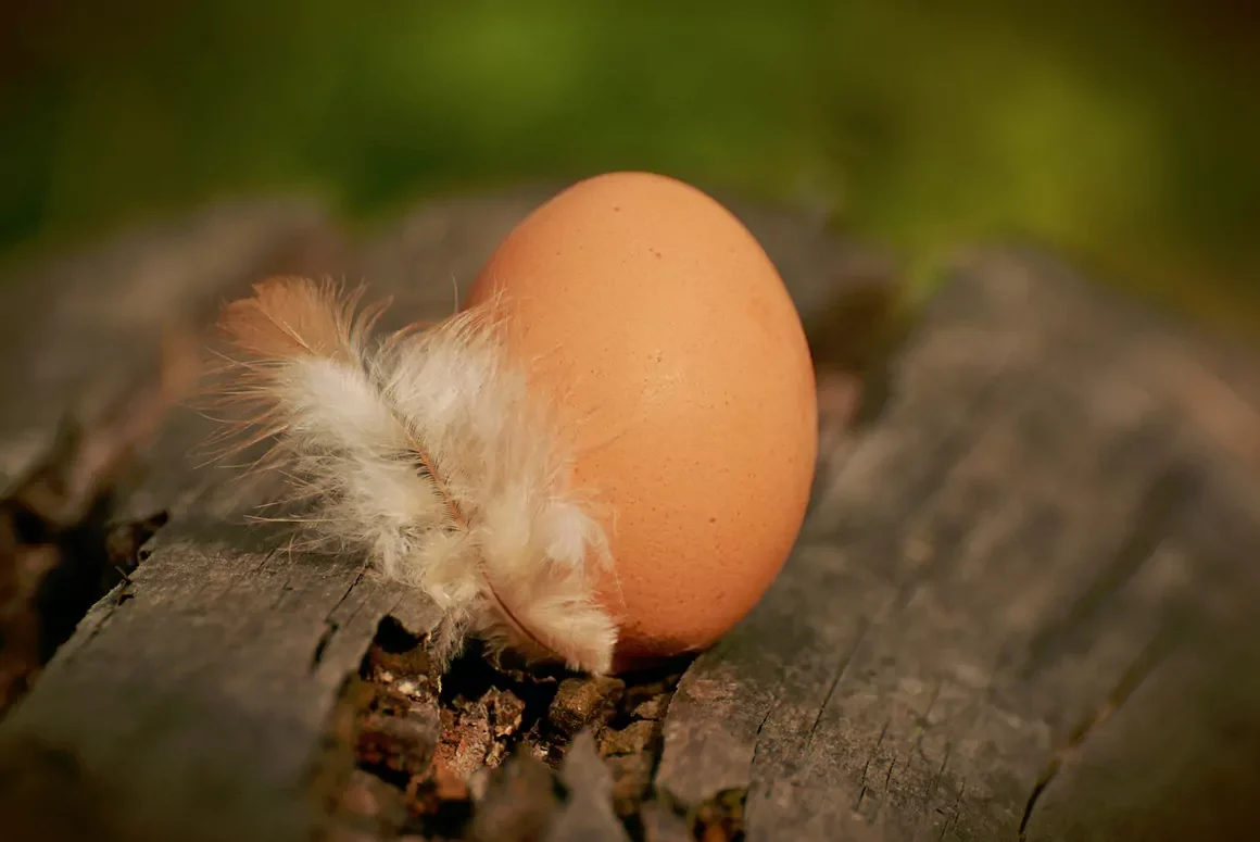 Tuesday’s Sayings and Musings