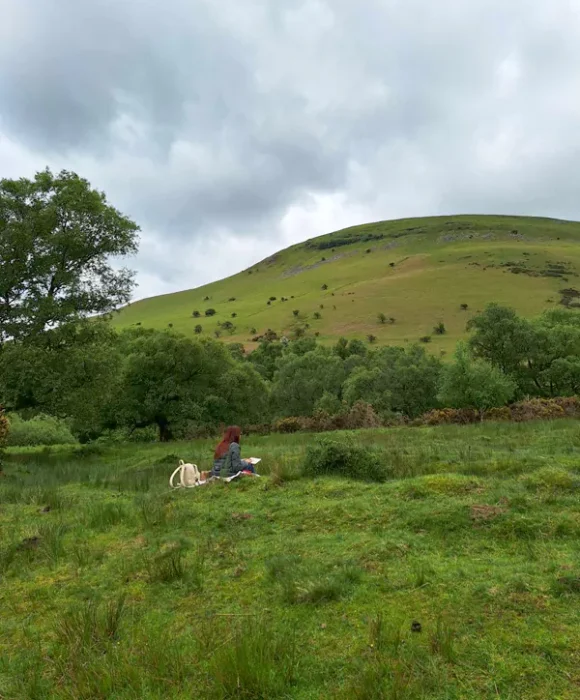 Lines of the Land: An Artist’s Journey through Wales