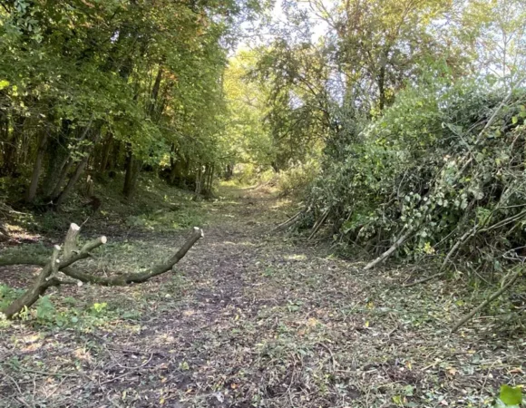 Shropshire Union Canal Society October 2025 Work Party Report