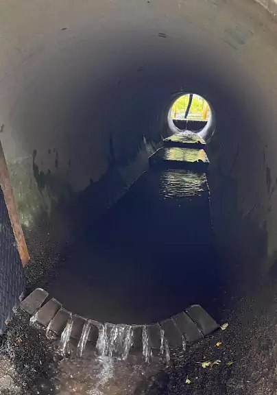 Pilot: Flexible Baffles for Fish on the Dysynni