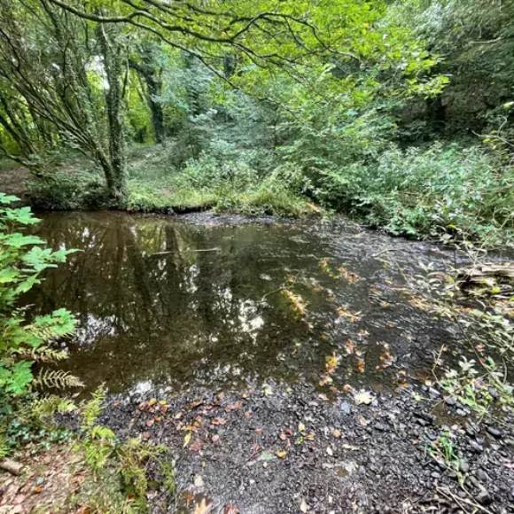 What Impact is Litter Having on Our Rivers?