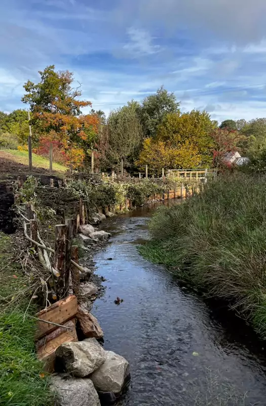 Trialling Willow-spiling Bank Revetment on the Clwyd