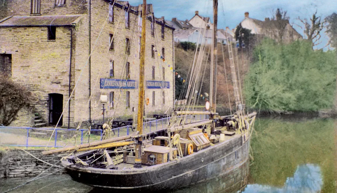 The Rebirth of Cardigan Harbour