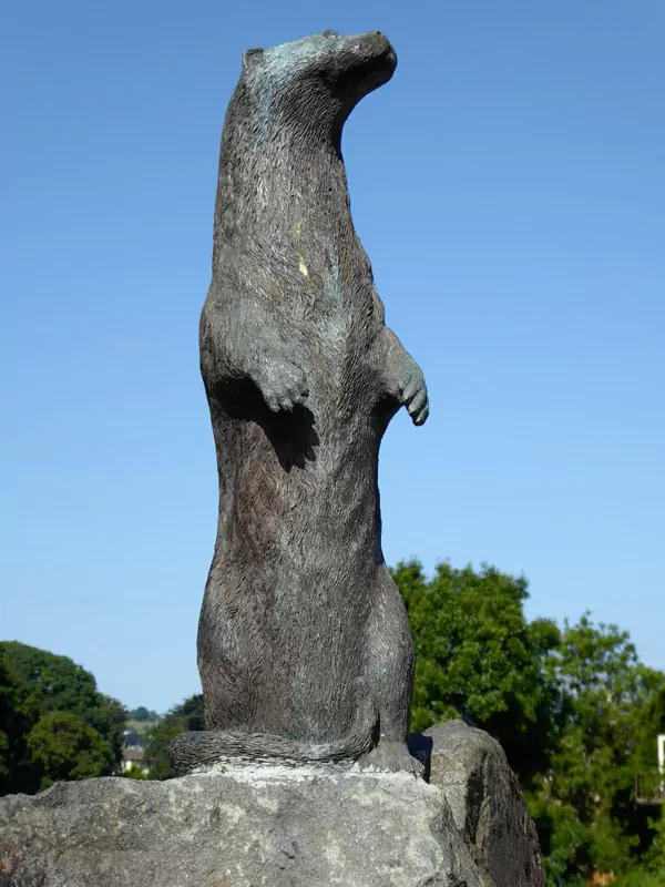 The Teifi Otter [2]