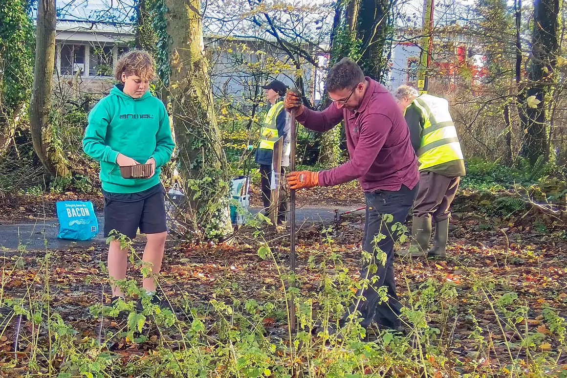 Scouts Plant 1,000 Purple Crocuses to Support Push To End Polio