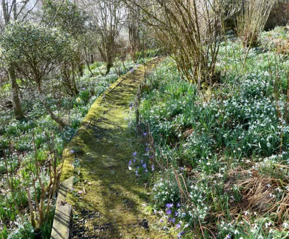 The Winter Garden 2026 Gelli Uchaf