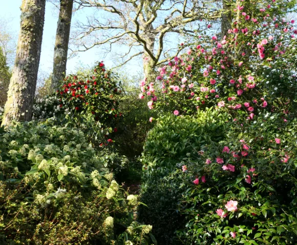 The Winter Garden 2026 Gelli Uchaf