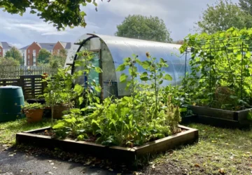 Grangetown Kitchen Garden
