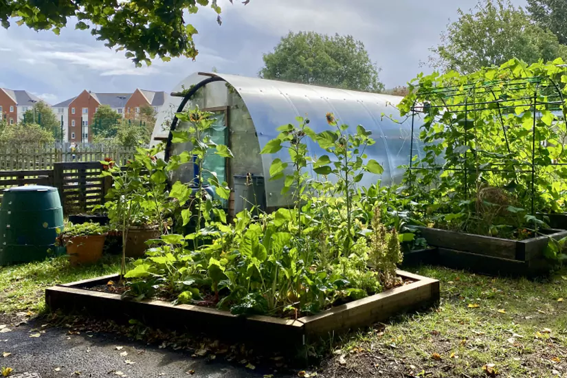 Grangetown Kitchen Garden