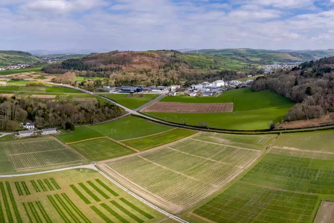 Aberystwyth Institute Founding Member of New Research Grouping