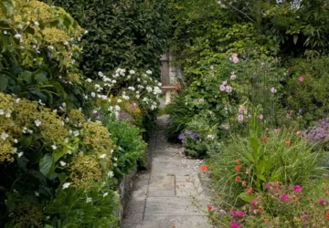 Old Place