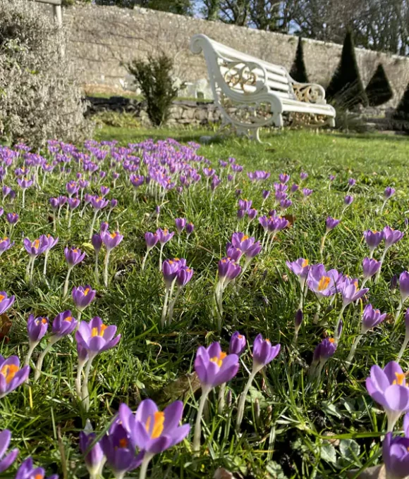 The Winter Garden 2026 Slade