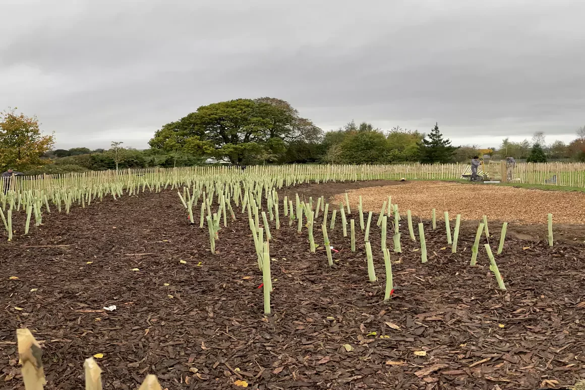 Four New Tiny Forests — Bringing More Nature, Wildlife and Community Spaces to Wrexham County Four New Tiny Forests in Wrexham