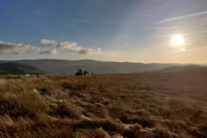 Greenhouse Gas Removal is Vital to Help Meet Climate Targets