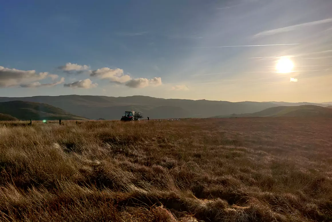 Greenhouse Gas Removal is Vital to Help Meet Climate Targets