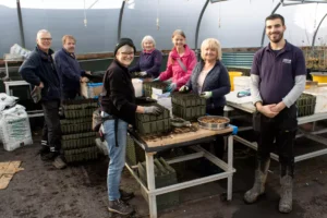 Volunteers Celebrated for Nurturing Nature at Tree Nursery