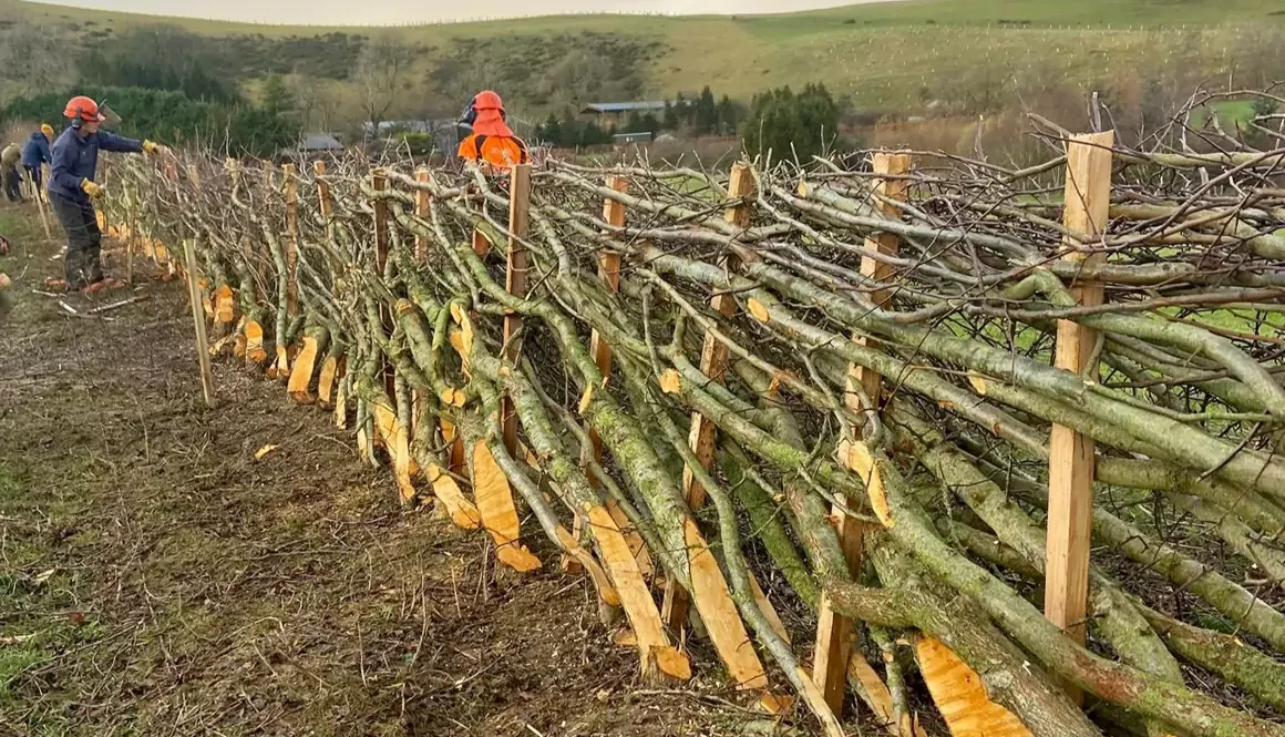 Seasonal Competition Serves Up Traditional Countryside Craft